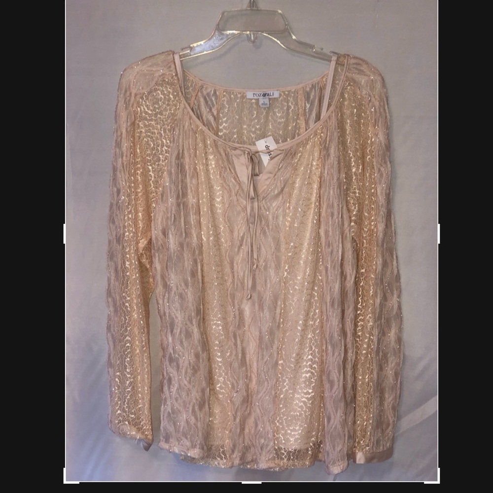 NWT Women’s 2 piece blouse pink champagne size large